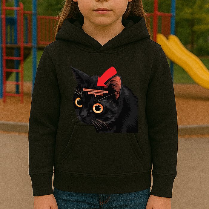 Full Of Paranoid Delusions And Violent Funny Meme Cat Kids Hoodie