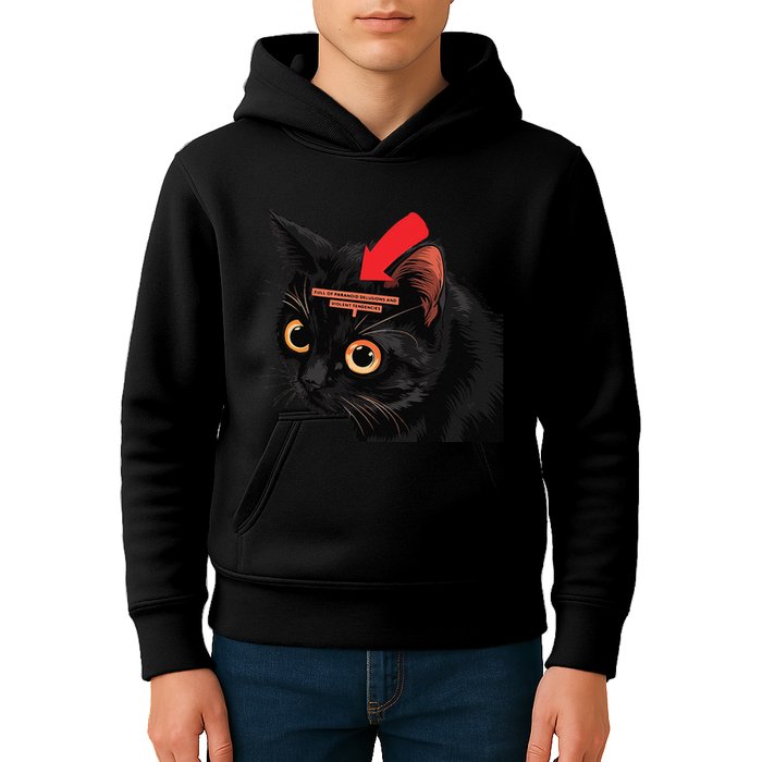 Full Of Paranoid Delusions And Violent Funny Meme Cat Kids Hoodie