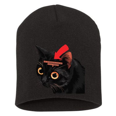 Full Of Paranoid Delusions And Violent Funny Meme Cat Short Acrylic Beanie
