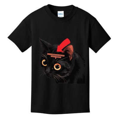Full Of Paranoid Delusions And Violent Funny Meme Cat Kids T-Shirt