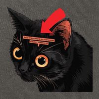 Full Of Paranoid Delusions And Violent Funny Meme Cat Cotton Canvas Backpack