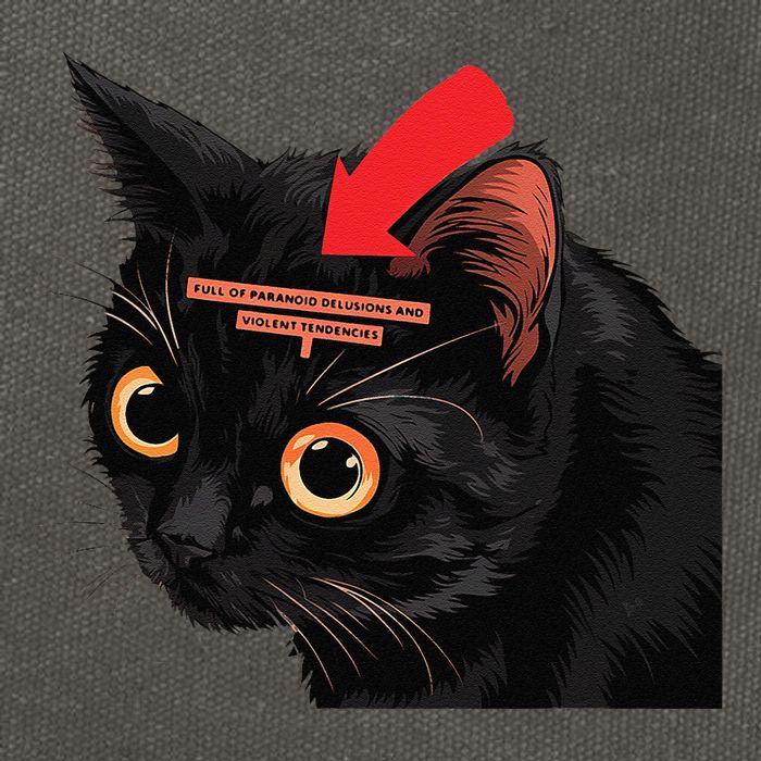 Full Of Paranoid Delusions And Violent Funny Meme Cat Cotton Canvas Backpack