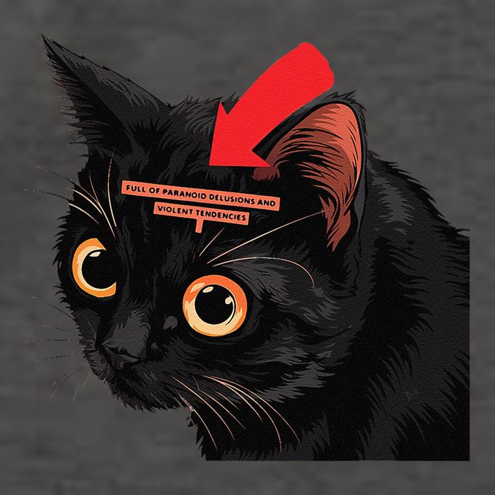 Full Of Paranoid Delusions And Violent Funny Meme Cat Vector Backpack