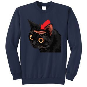 Full Of Paranoid Delusions And Violent Funny Meme Cat Sweatshirt