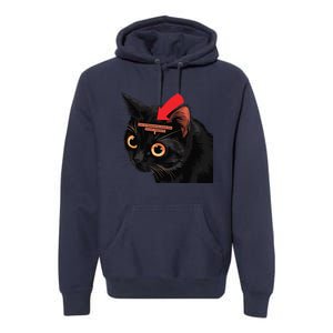 Full Of Paranoid Delusions And Violent Funny Meme Cat Premium Hoodie