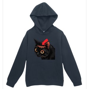 Full Of Paranoid Delusions And Violent Funny Meme Cat Urban Pullover Hoodie