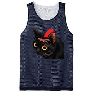 Full Of Paranoid Delusions And Violent Funny Meme Cat Mesh Reversible Basketball Jersey Tank