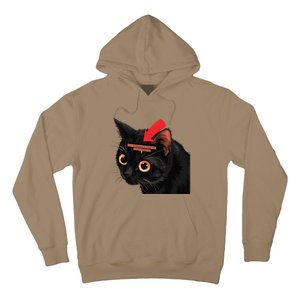 Full Of Paranoid Delusions And Violent Funny Meme Cat Hoodie