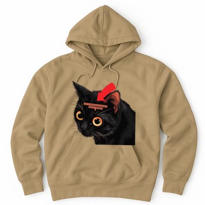 Full Of Paranoid Delusions And Violent Funny Meme Cat Hoodie