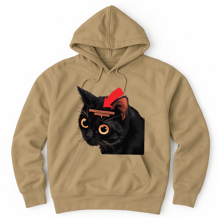 Full Of Paranoid Delusions And Violent Funny Meme Cat Hoodie
