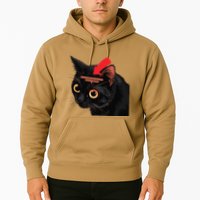 Full Of Paranoid Delusions And Violent Funny Meme Cat Hoodie