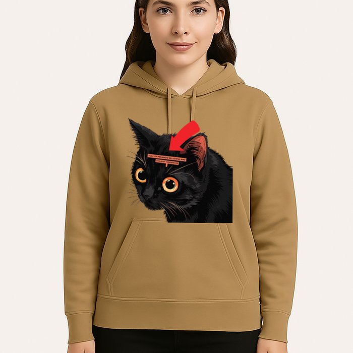 Full Of Paranoid Delusions And Violent Funny Meme Cat Hoodie