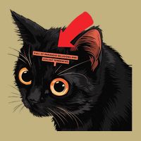 Full Of Paranoid Delusions And Violent Funny Meme Cat Hoodie