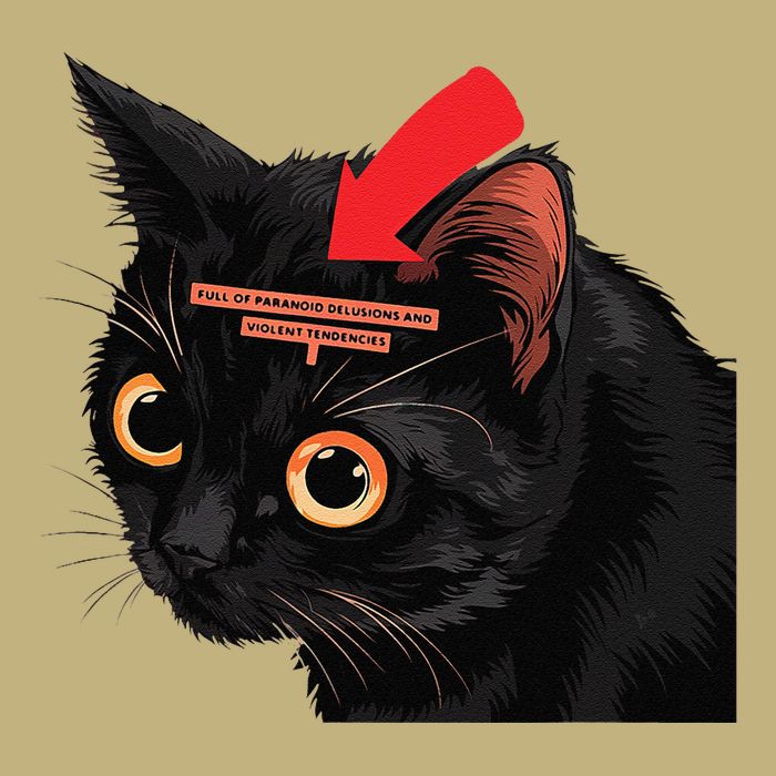 Full Of Paranoid Delusions And Violent Funny Meme Cat T-Shirt