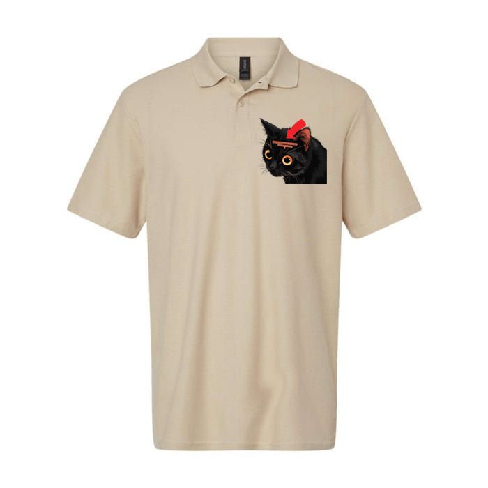 Full Of Paranoid Delusions And Violent Funny Meme Cat Softstyle Adult Sport Polo