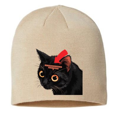 Full Of Paranoid Delusions And Violent Funny Meme Cat Sustainable Beanie