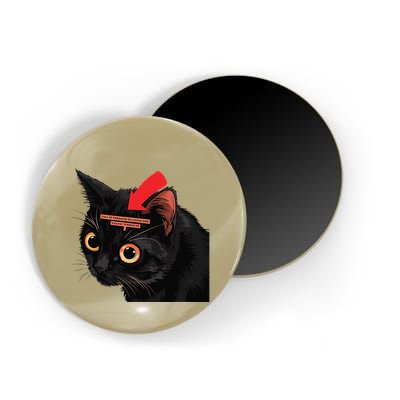 Full Of Paranoid Delusions And Violent Funny Meme Cat Magnet