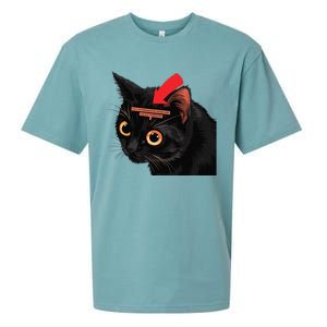 Full Of Paranoid Delusions And Violent Funny Meme Cat Sueded Cloud Jersey T-Shirt