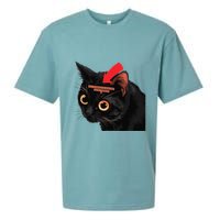 Full Of Paranoid Delusions And Violent Funny Meme Cat Sueded Cloud Jersey T-Shirt