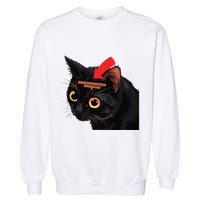 Full Of Paranoid Delusions And Violent Funny Meme Cat Garment-Dyed Sweatshirt