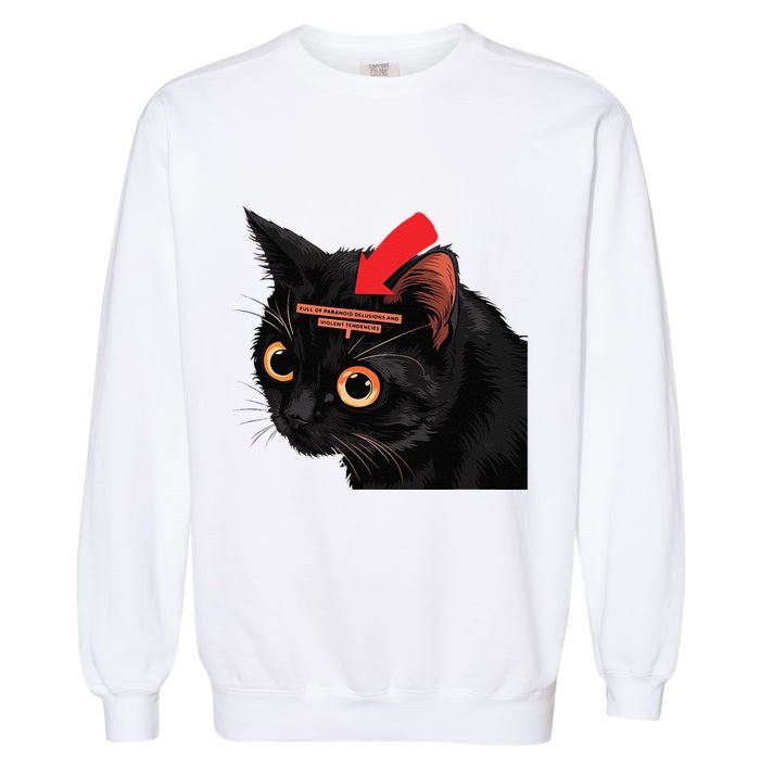 Full Of Paranoid Delusions And Violent Funny Meme Cat Garment-Dyed Sweatshirt