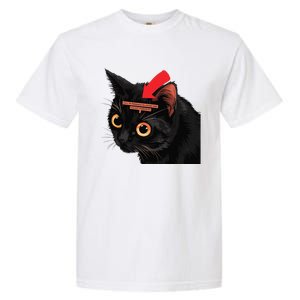 Full Of Paranoid Delusions And Violent Funny Meme Cat Garment-Dyed Heavyweight T-Shirt