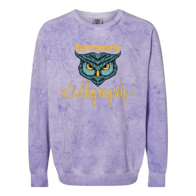 Funny Owl Puns Funny Puns Animal Puns Bird Puns Owl Face Colorblast Crewneck Sweatshirt