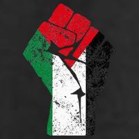 Fist of Palestine Free Palestine 7 Panel Mesh Trucker Snapback Hat
