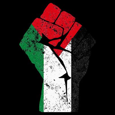 Fist of Palestine Free Palestine T-Shirt