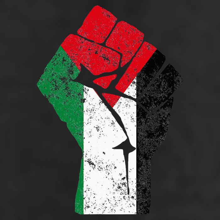 Fist of Palestine Free Palestine Adult Drive Performance Visor