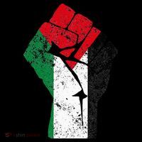 Fist of Palestine Free Palestine Premium T-Shirt