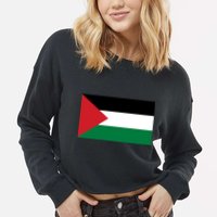 Flag Of Palestine Cropped Pullover Crew