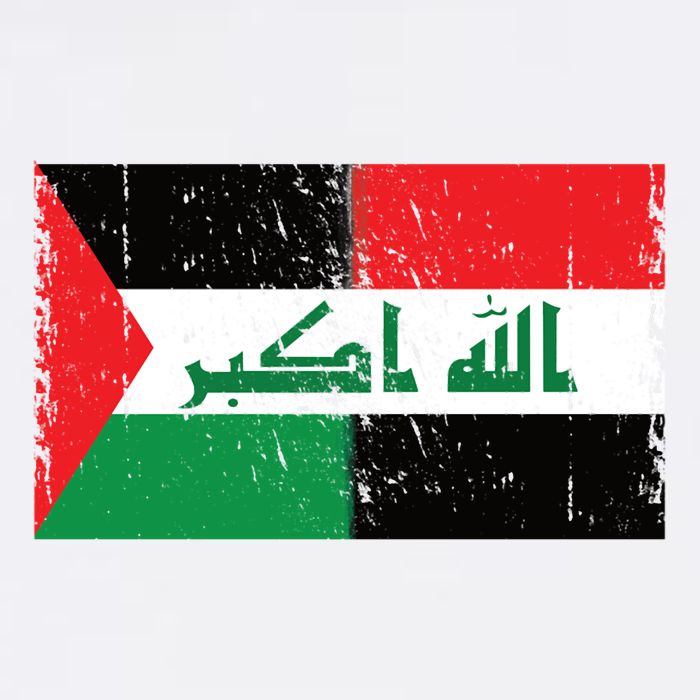 Flag Of Palestine Iraq Palestine Flag Iraq Palestine Premium T-Shirt