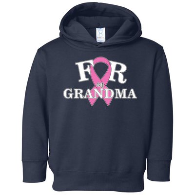 For Grandma Cancer Awareness Toddler Hoodie