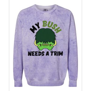 Funny Offensive Rude Novelty My Bush Needs A Trim Hairstyle Colorblast Crewneck Sweatshirt