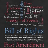 Freedom Of Speech American Bill Of Rights 1st Amendment Microfiber Hand Towel