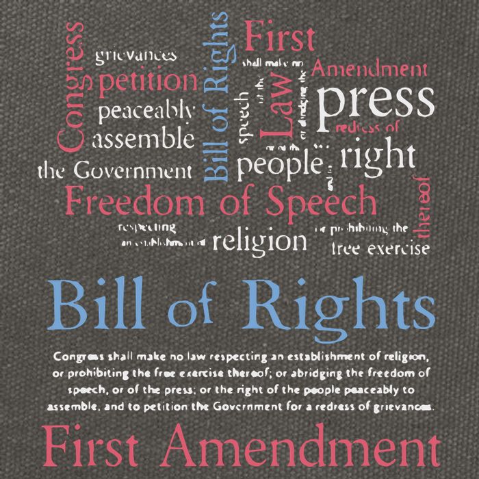 Freedom Of Speech American Bill Of Rights 1st Amendment Cotton Canvas Backpack