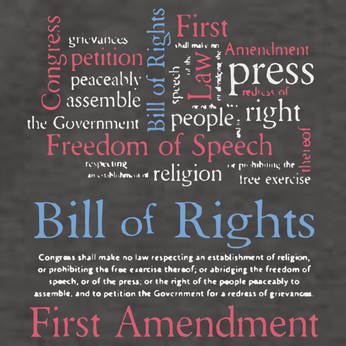 Freedom Of Speech American Bill Of Rights 1st Amendment Vector Backpack