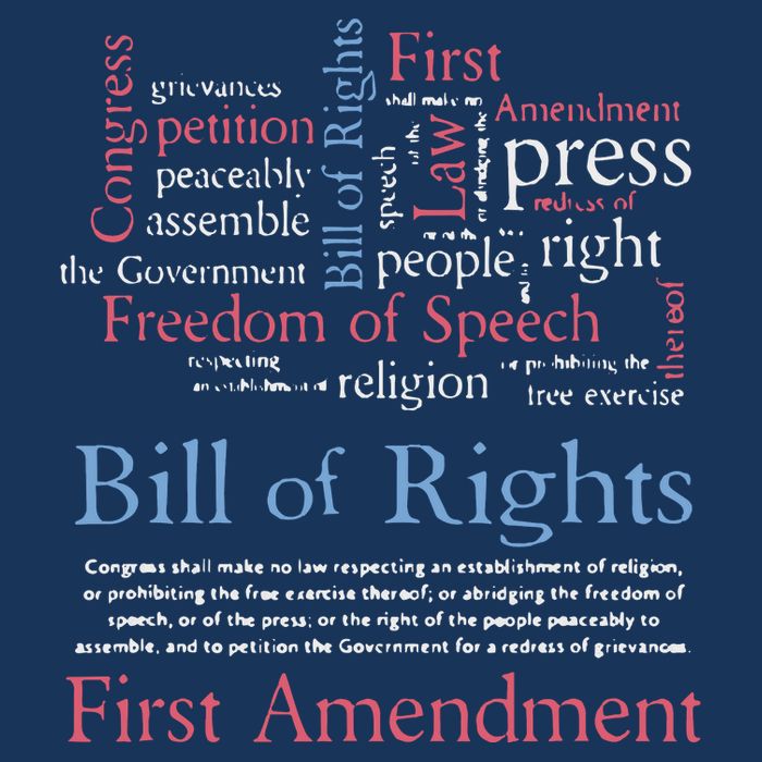 Freedom Of Speech American Bill Of Rights 1st Amendment Cool Comfort Performance Bucket Hat
