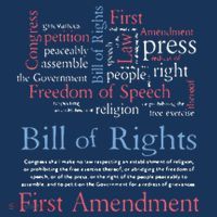 Freedom Of Speech American Bill Of Rights 1st Amendment Sustainable Knit Beanie