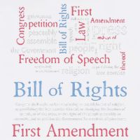 Freedom Of Speech American Bill Of Rights 1st Amendment Garment-Dyed Sweatshirt