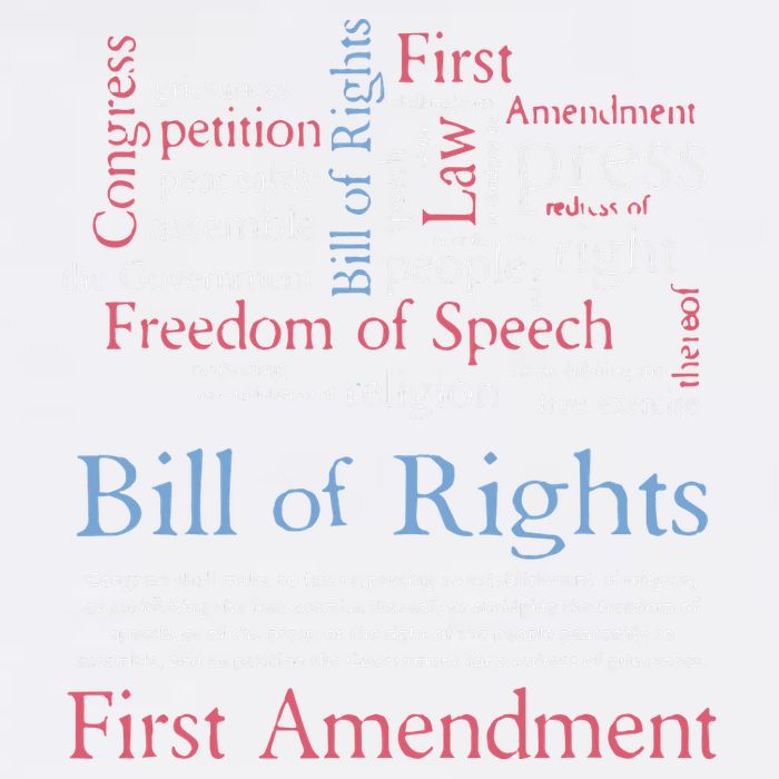 Freedom Of Speech American Bill Of Rights 1st Amendment Garment-Dyed Sweatshirt