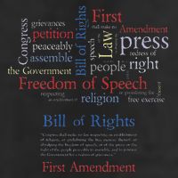 Freedom Of Speech 1st Amendment Cool Comfort Performance Bucket Hat