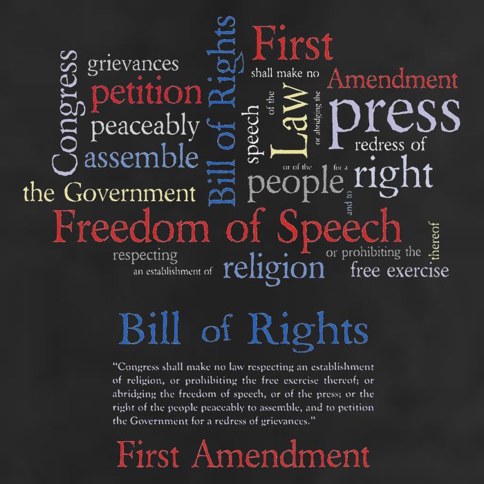 Freedom Of Speech 1st Amendment 15oz Campfire Ceramic Mug