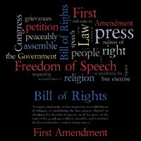 Freedom Of Speech 1st Amendment 16 in Basic Backpack