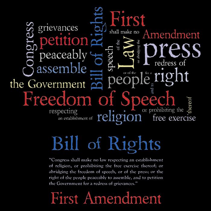 Freedom Of Speech 1st Amendment 16 in Basic Backpack