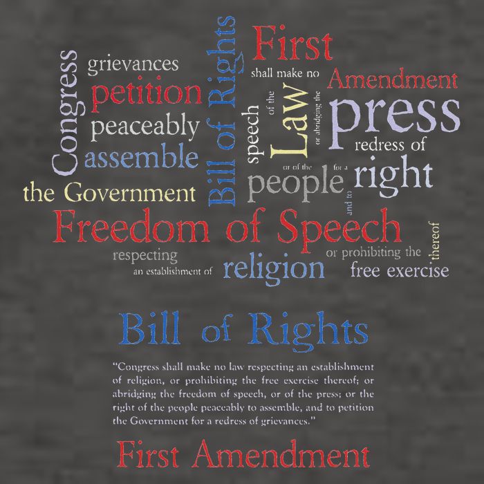 Freedom Of Speech 1st Amendment Vector Backpack