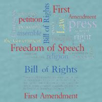 Freedom Of Speech 1st Amendment Sueded Cloud Jersey T-Shirt