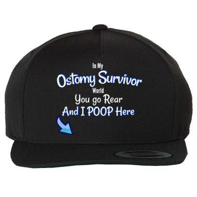 Funny Ostomy Survivor I Poop Here Stoma Bag Colon Cancer Gift Wool Snapback Cap