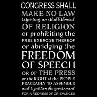 Freedom Of Speech American Bill Of Rights Gift Impact Tech Backpack